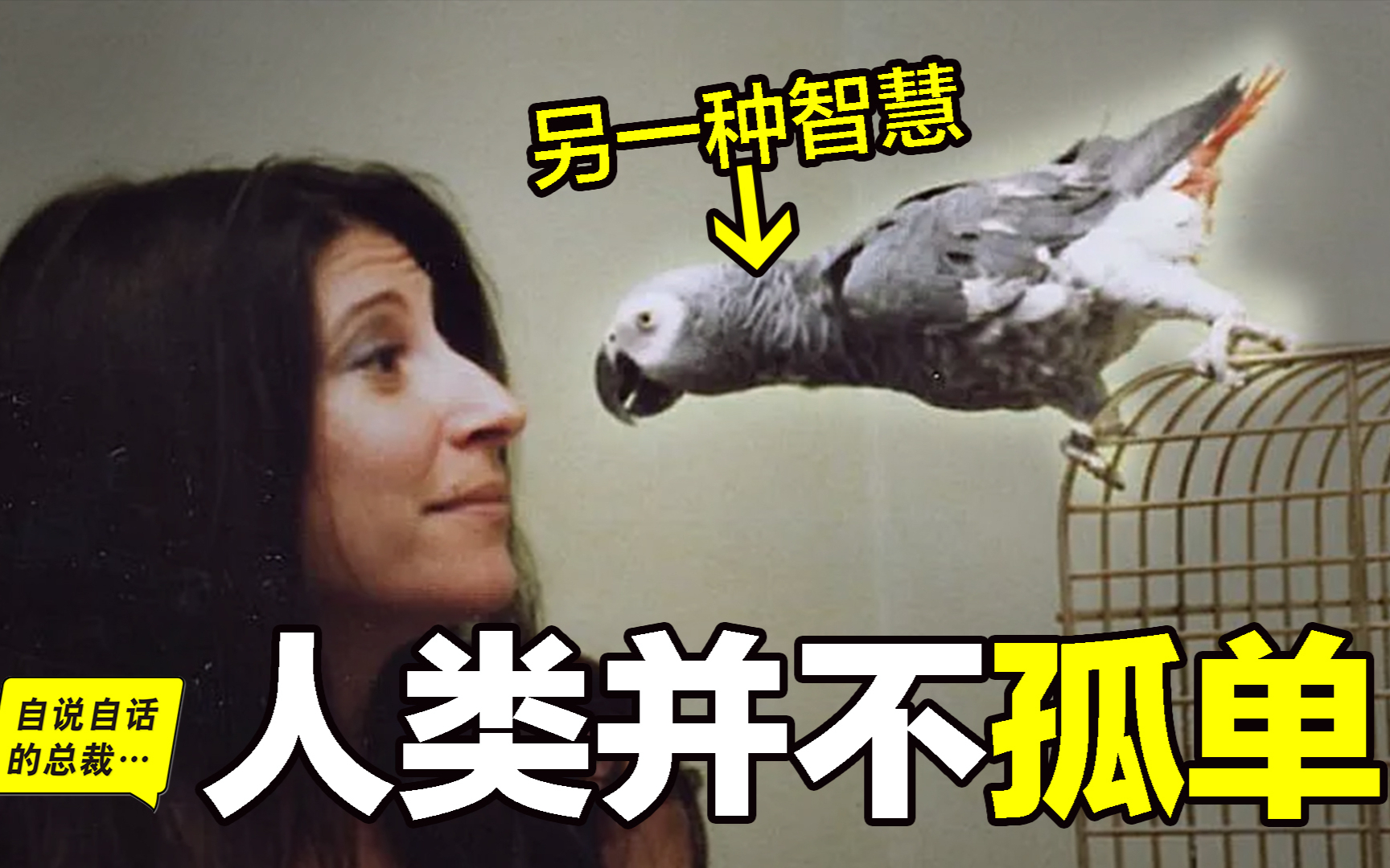 人类并不孤单:科学家发现自己正隐藏着一条平行文明…|自说自话的总裁