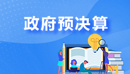 政府预决算 政府预决算
