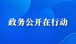 政务公开在行动 政务公开在行动